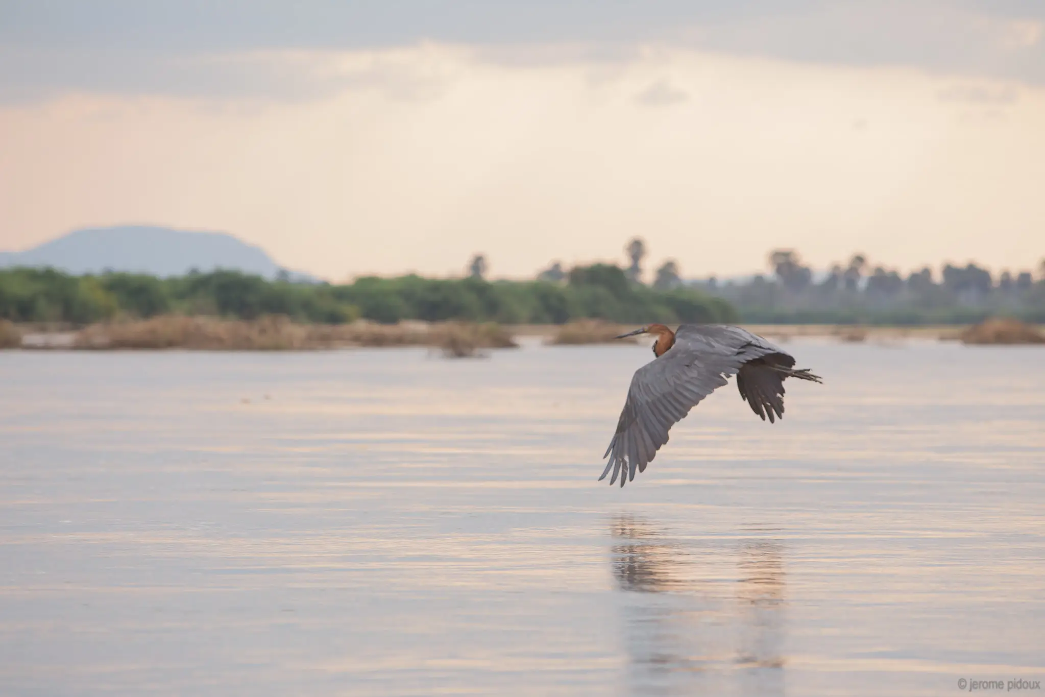 Day Trip To Mkomazi National Park